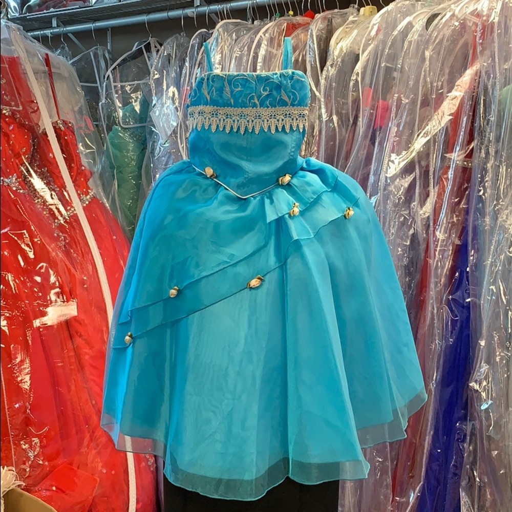 Princess Little Girl Dress